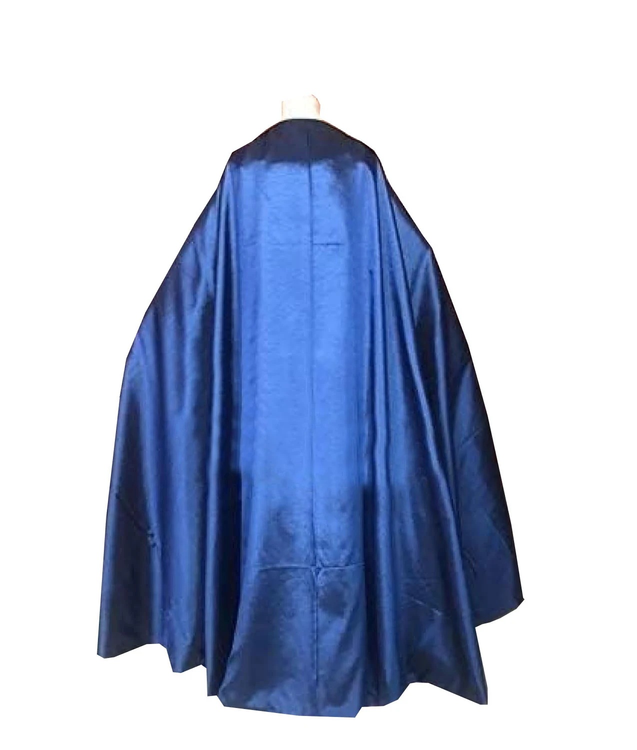 人魚姫 ヴァネッサ リトルマーメイド ヴァネッサ コスプレ衣装 アリエル 人魚姫 ドレス マント付き ハロウィン クリスマス