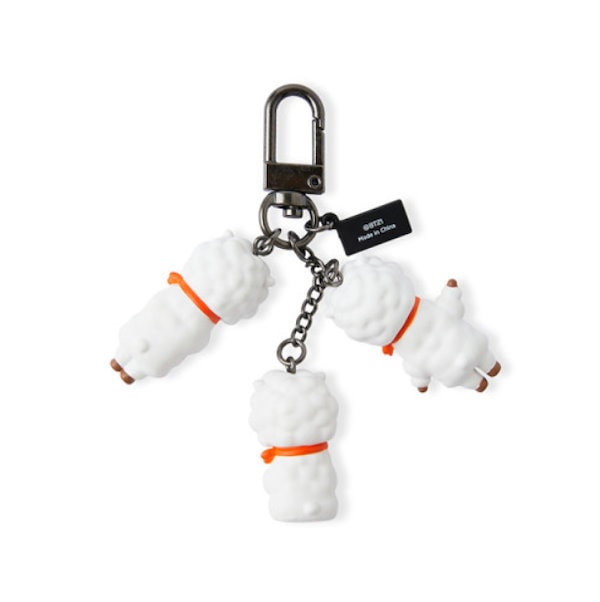 BT21 - ★BTS Tmoneyキーチェーン(フルセットバラ売り不可) Amazon.co.jp: Ariesxin KPOP ZEROBASEONE キーリング ZB1