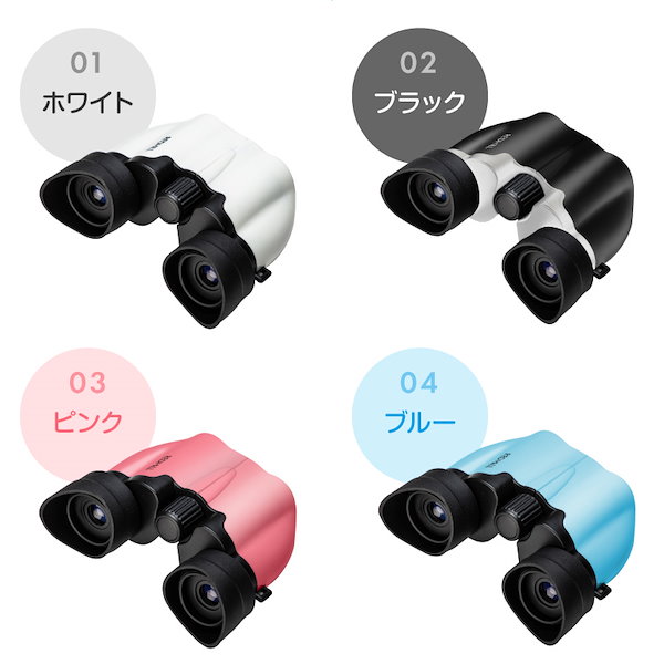 0811O 双眼鏡 BINOCULARS HORIZON 10*30 - その他