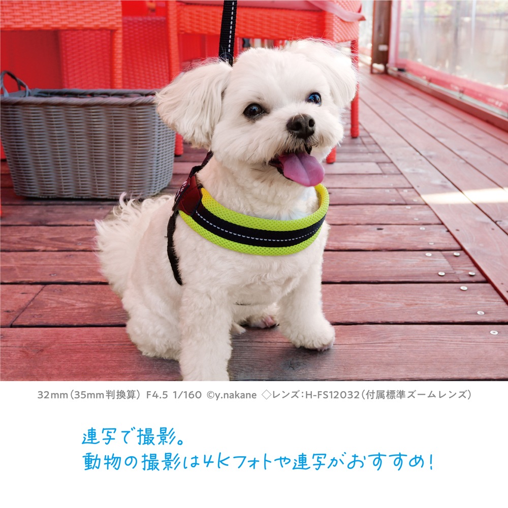 パナソニック DC-G100DV-K ミラーレス一眼カメラ「LUMIX G100D」標準ズームレンズキットトライポッドグリップ付属 DCG100DVK パナソニック DC-G100DV-K ミラーレス一眼カメラ「LUMIX G100D」標準ズームレンズキットトライポッドグリップ付属 DCG100DVK