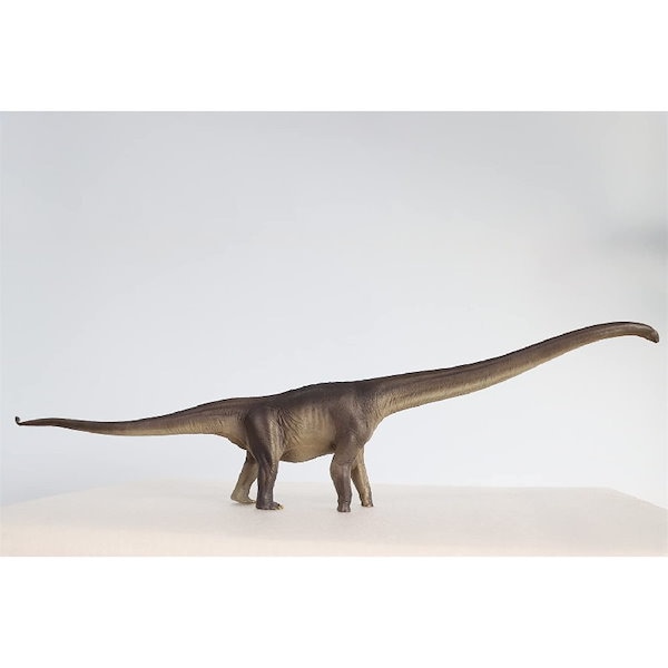 Amazon.co.jp: PNSO 恐竜博物館 1/35 サイズ ティラノサウルス T