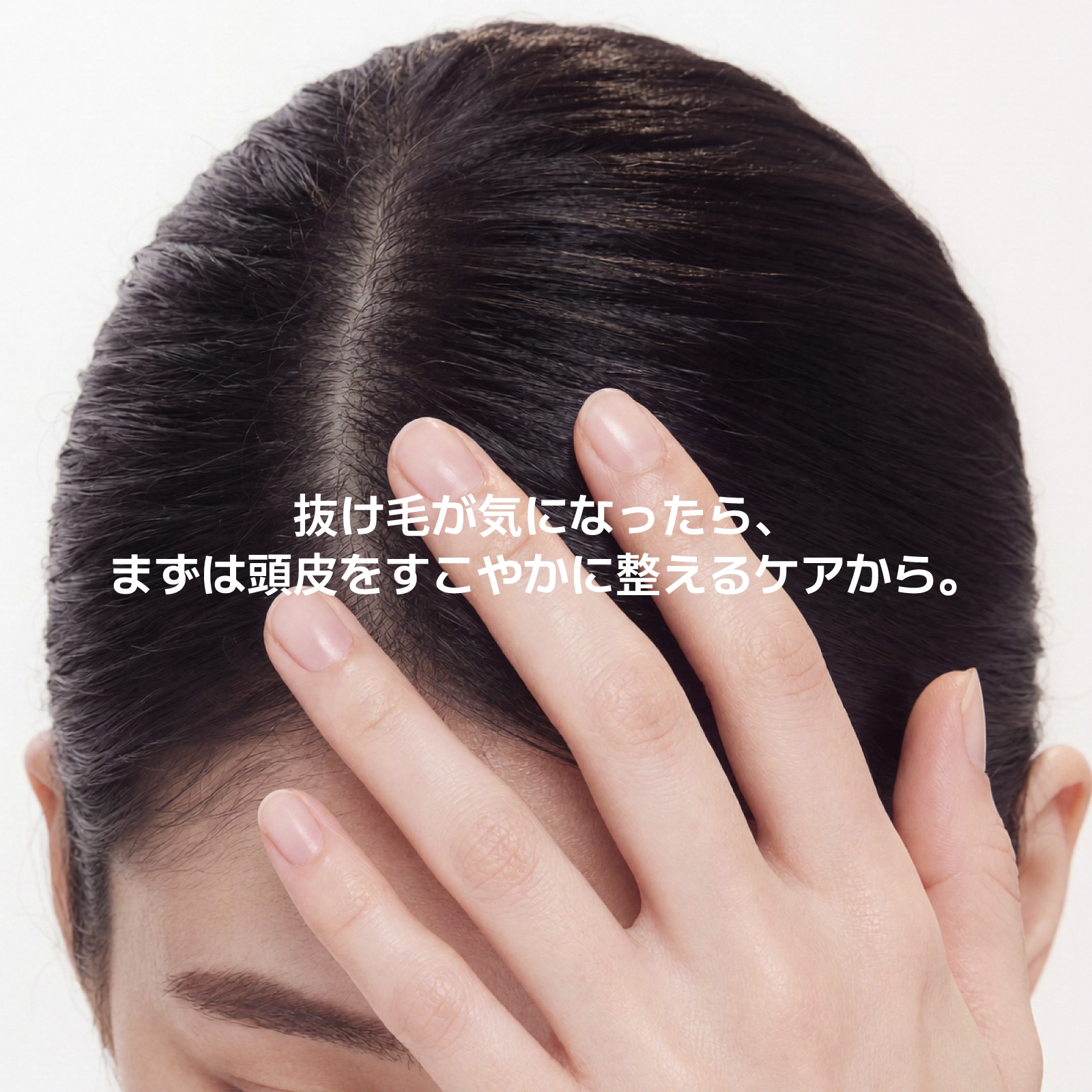 Qoo10] HAETI 【公式】【1+1】カーミングシーハーブ