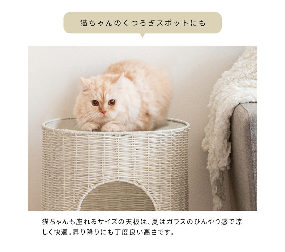 猫ちぐらサイドテーブル　ラタン　キャットハウス　ペット用品　ねこ　サイドテーブル　ガラステーブル　ペットハウス