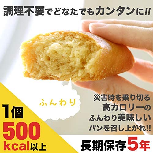 備蓄用保存パン ライフブレッド 9個セット