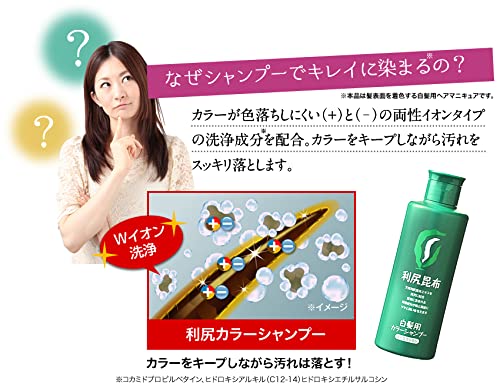 Sastty (サスティ) 【白髪用】大容量サイズ 利尻カラーシャンプー (ダークブラウン) 500ml×2本セット 【ミネラルイオンブラシ付】