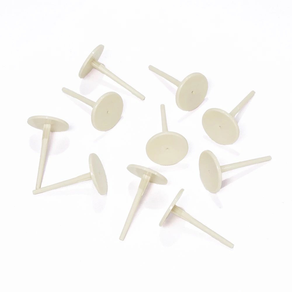 (サンゴ)フラグサンゴ ツツマルハナサンゴ グリーン ポリカプラグ付き(1個)wh‐68 北海道航空便要保温 CRC26―50―80―00―00 (サンゴ)フラグサンゴ ツツマルハナサンゴ グリーン ポリカプラグ付き(1個)wh‐68 北海道航空便要保温 CRC26―50―80―00―00