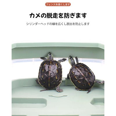 ⭐︎カメ⭐︎ タカラトミーアーツ 立体カプセル百科事典 原色爬虫類カメ目図鑑 ゼニガメ