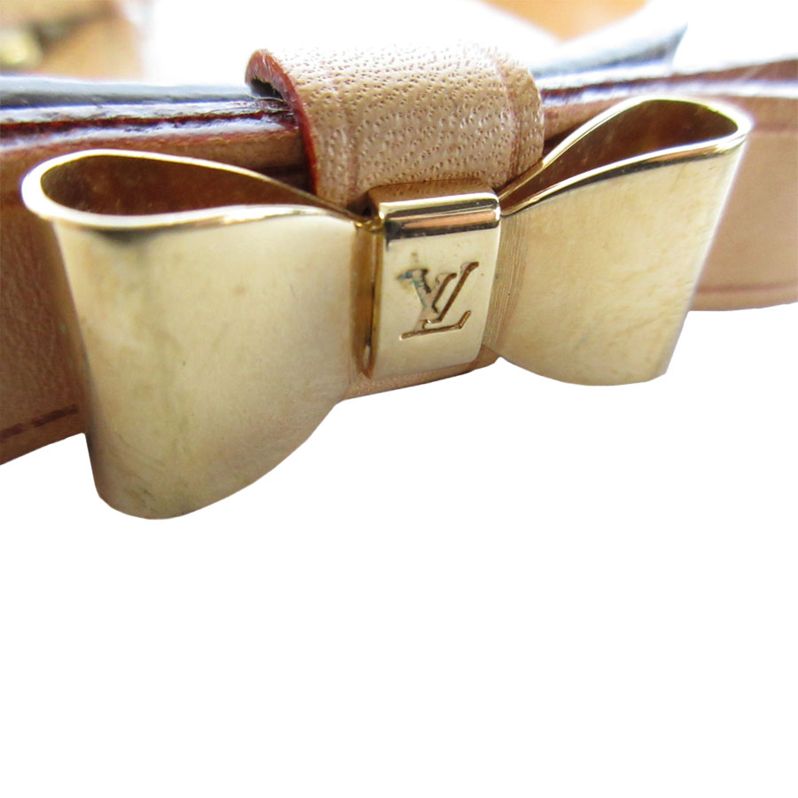 LOUIS VUITTON リード首輪セット　新品未使用 愛犬のお洒落も欠かさない！】ルイヴィトン ハーネス お散歩 (Louis