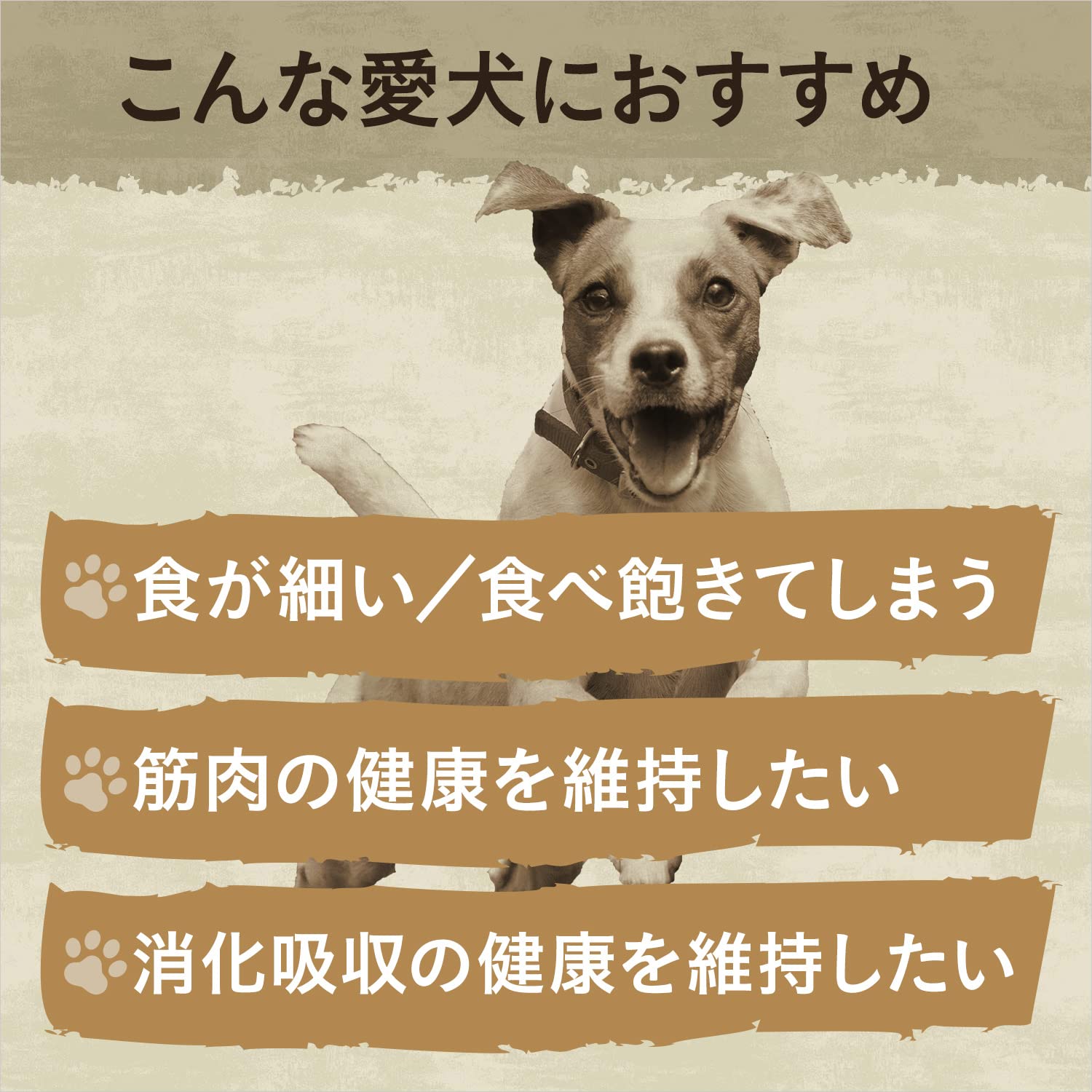 Nutro ニュートロ ワイルド レシピ 超小型犬-小型犬用 成犬用 ラム 2kg ドッグフード 【着色料 無添加/グレインフリー/グルテンフリー/小粒】