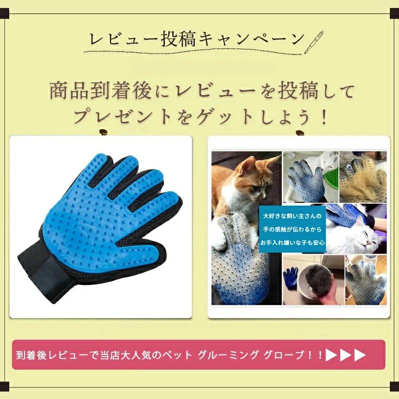 8月に新品が入荷!タイムセール ペットキャリー 犬 猫 キャリーケース キャリーバッグ ペット用 SL ハード 出入りしやすい2ドア お出かけ 旅行 通院 犬用 猫用 防災 8月に新品が入荷!タイムセール ペットキャリー 犬 猫 キャリーケース キャリーバッグ ペット用 SL ハード 出入りしやすい2ドア お出かけ 旅行 通院 犬用 猫用 防災