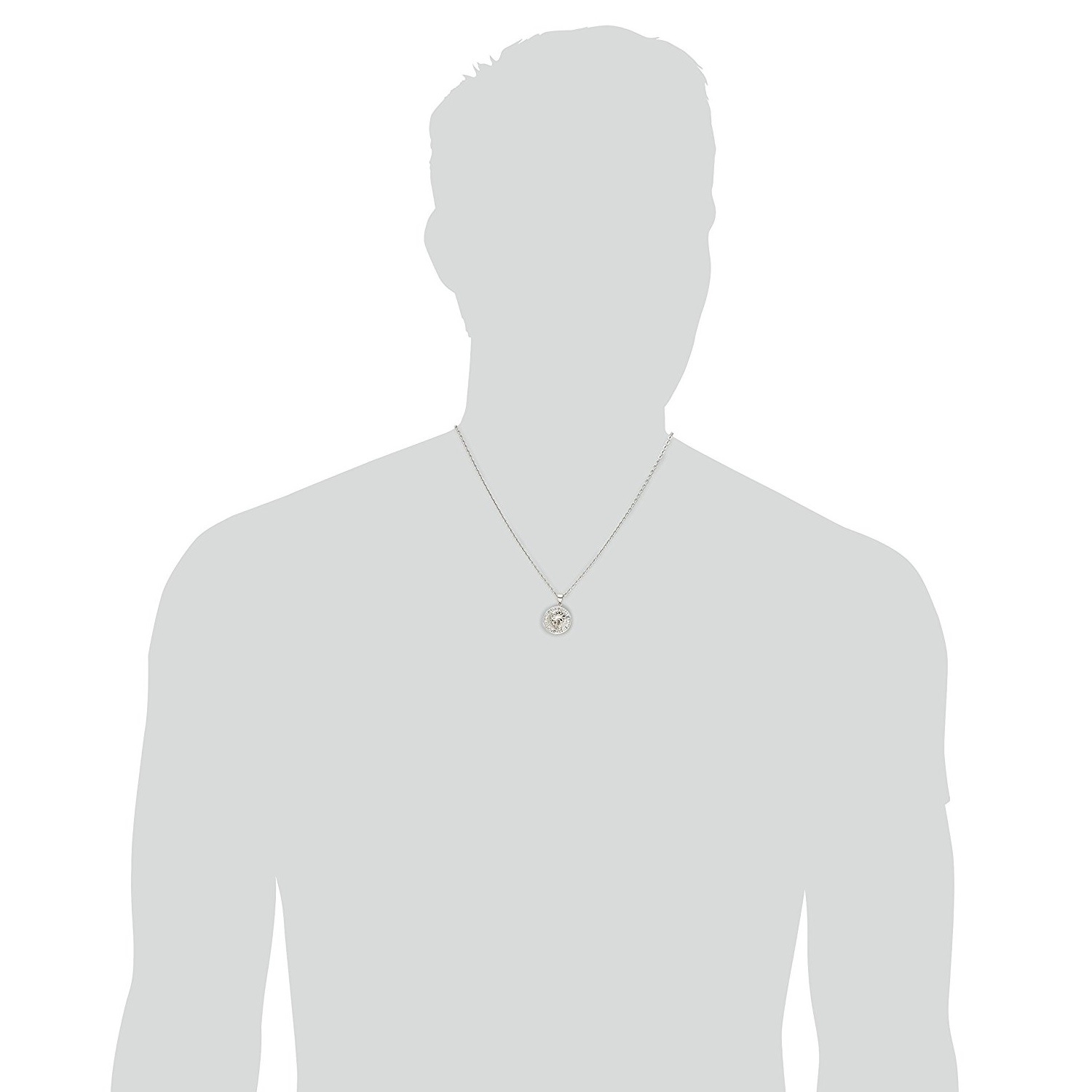 新品 正規品 LION HEART ペンダント ネックレス 04N144SM サージカルステンレス 新品 正規品 LION HEART ペンダント ネックレス 04N144SM サージカルステンレス