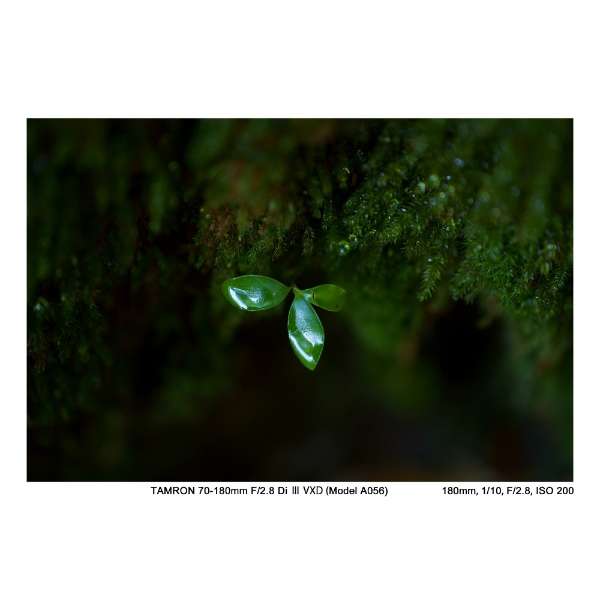 70-180mm F/2.8 Di III VXD (Model A056) 70-180mm F/2.8 Di III VXD (Model A056)