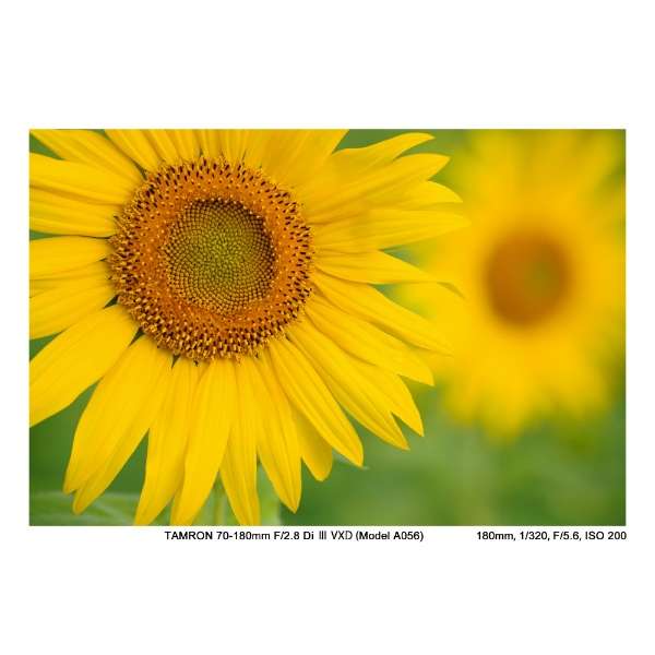70-180mm F/2.8 Di III VXD (Model A056) 70-180mm F/2.8 Di III VXD (Model A056)