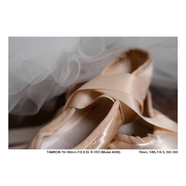 70-180mm F/2.8 Di III VXD (Model A056) 70-180mm F/2.8 Di III VXD (Model A056)