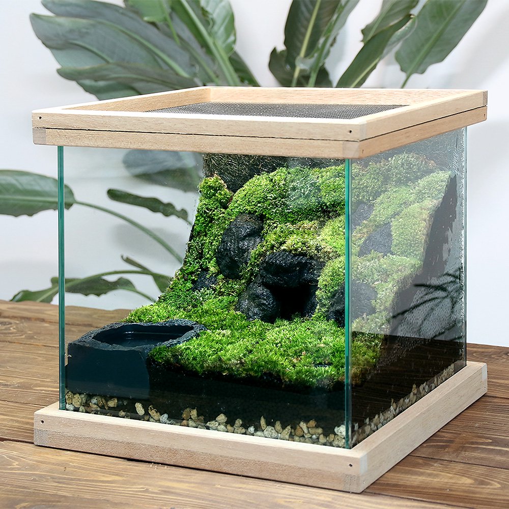 イモリウム　ーイモリの洞窟ー　レイアウトセット　お一人様２点限り　ＣＲＣ17―10―30―00―00 pattayablatt.com