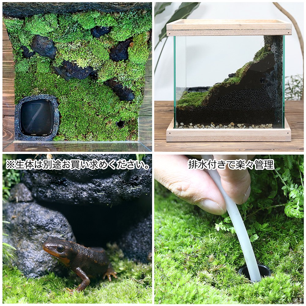 イモリウム　ーイモリの洞窟ー　レイアウトセット　お一人様２点限り　ＣＲＣ17―10―30―00―00 pattayablatt.com