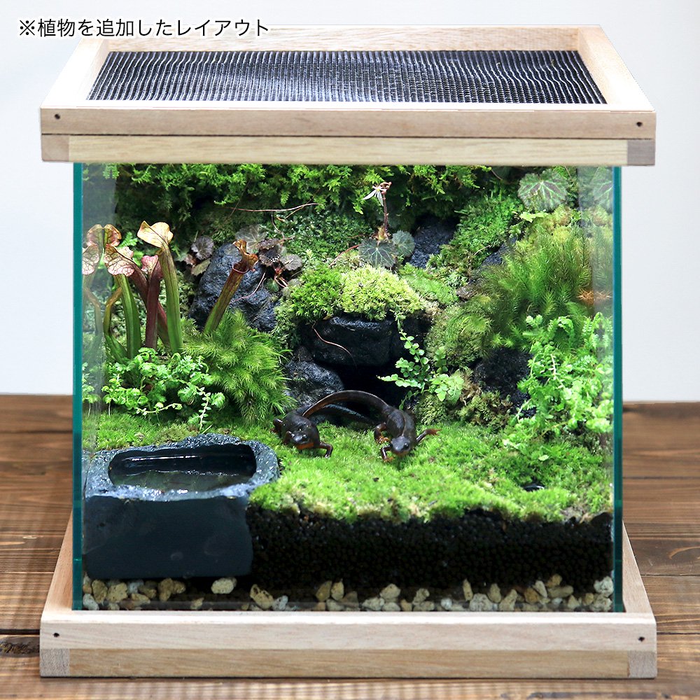 イモリウム　ーイモリの洞窟ー　レイアウトセット　お一人様２点限り　ＣＲＣ17―10―30―00―00 pattayablatt.com