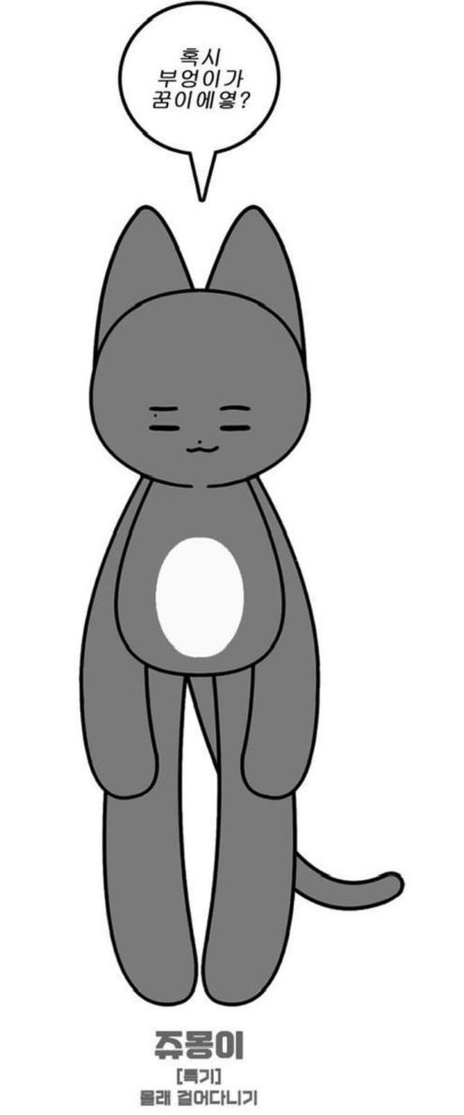 The boyz ジュヨン ココボーイズ 60CM ぬいぐるみ ジュモンイ