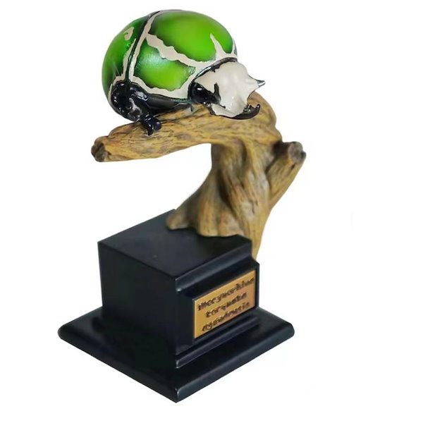 Qoo10] 博物志 甲虫類 ハナムグリ ニジイロクワ