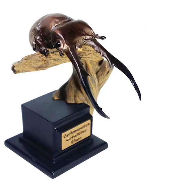 Qoo10] 博物志 甲虫類 ハナムグリ ニジイロクワ