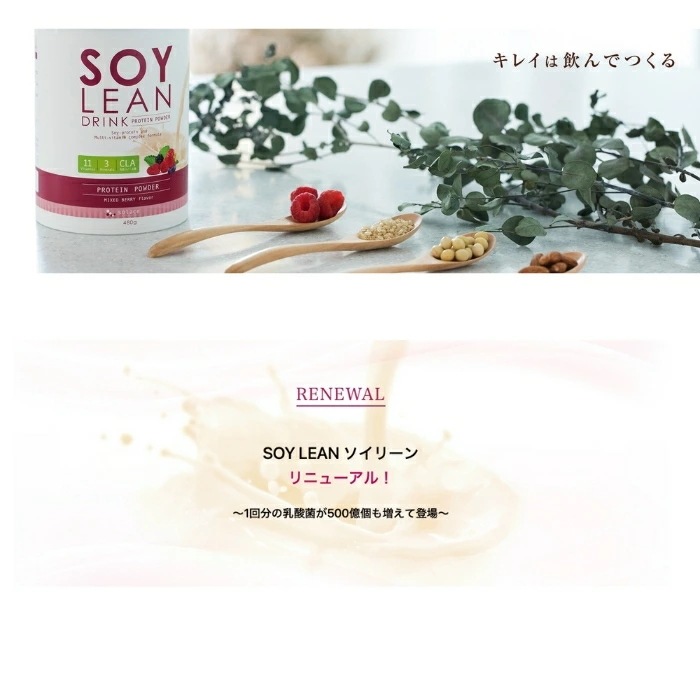 ソイリーンPlus プロテイン ベリーチョコ 乳酸菌 植物性プロテイン 腸活 低糖質 ソイリーンドリンク乳酸菌Plus タンパク質 ミネラル ダイエット ソイリーン ソイプロテイン たんぱく質 ソイリーンPlus プロテイン ベリーチョコ 乳酸菌 植物性プロテイン 腸活 低糖質 ソイリーンドリンク乳酸菌Plus タンパク質 ミネラル ダイエット ソイリーン ソイプロテイン たんぱく質