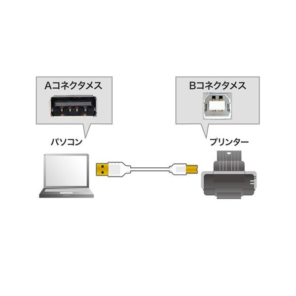 (5個セット) サンワサプライ 極細USBケーブル （USB2.0 A-Bタイプ） 2m KU20-SL20WKX5
