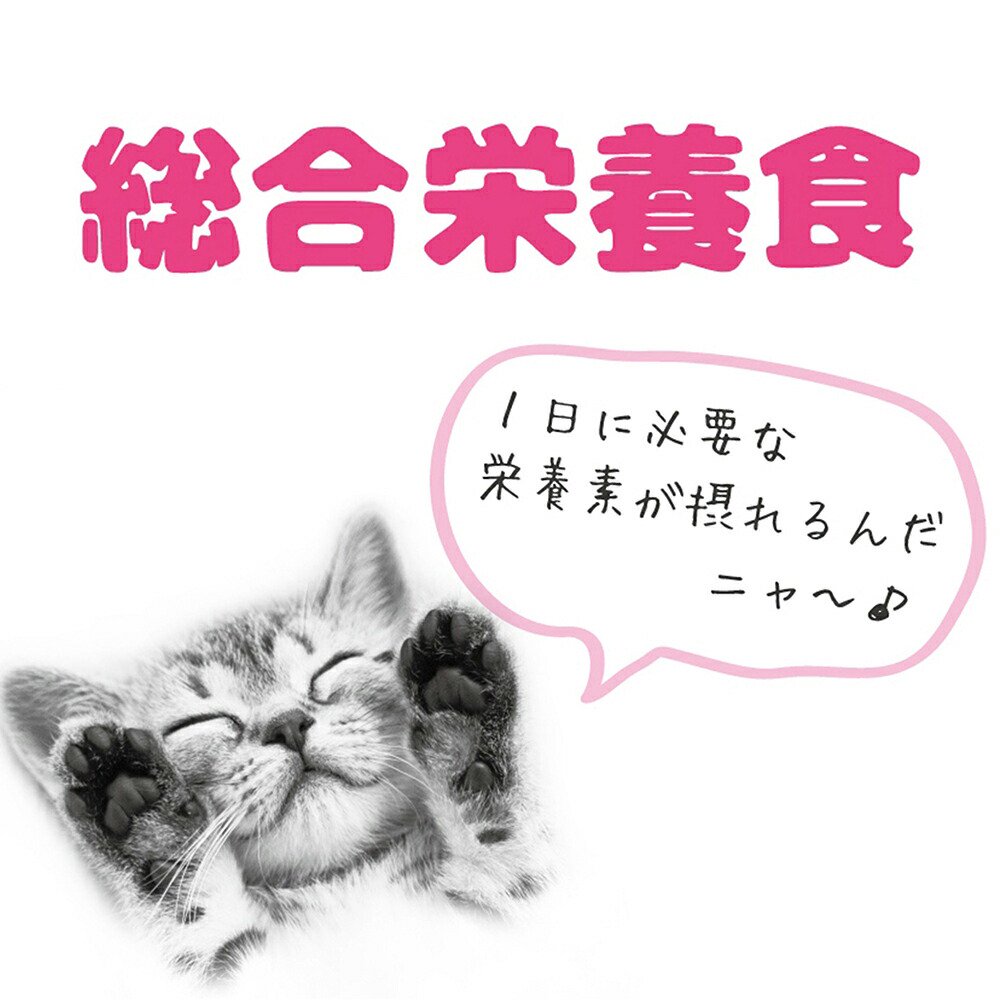 キャットフード アイシア おさかなMix 20個 CRC35―20―05―45―00 キャットフード アイシア おさかなMix 20個 CRC35―20―05―45―00