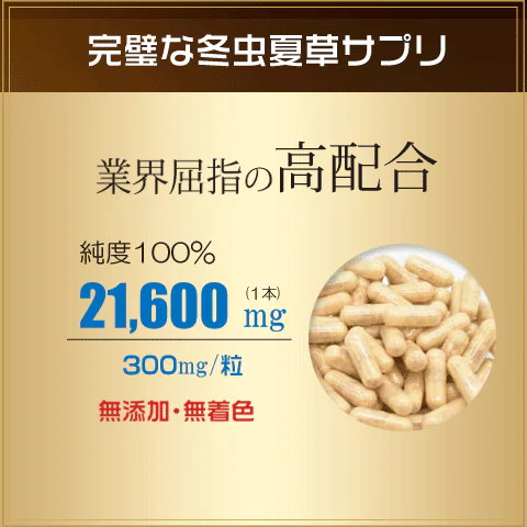 冬虫夏草菌糸100%使用カプセル剤(90粒)6本 硬