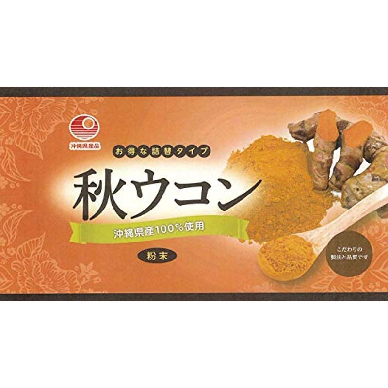 最大71%OFFクーポン 秋ウコン 100ｇ×２個 沖縄産 粉末 ウコン