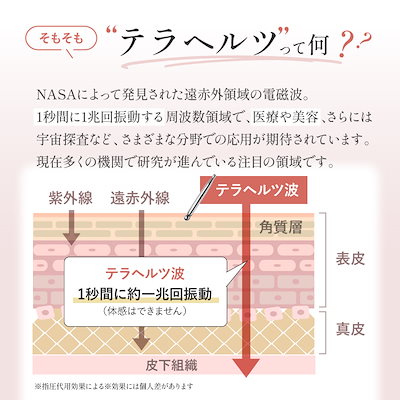 専用ページです！ご確認ページですAつぼみあり ベスポジBPZ - H型 - 取り外しセット | 製品紹介 | DIPPER