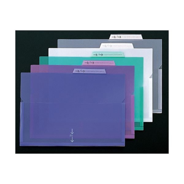 (まとめ) ライオン事務器 PPポケットホルダー A4 バイオレット マチ付 LFS-12PH 1セット(5冊) (×10セット) (まとめ) ライオン事務器 PPポケットホルダー A4 バイオレット マチ付 LFS-12PH 1セット(5冊) (×10セット)