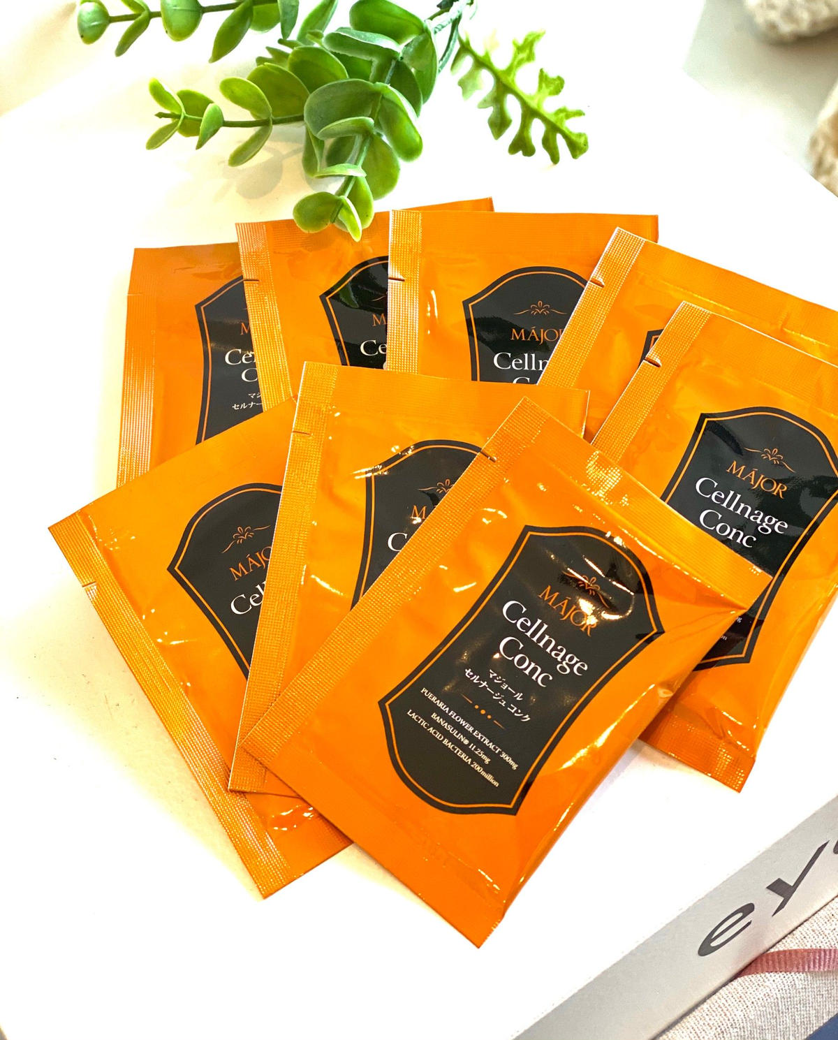 マジョール セルナージュコンク 【公式通販】