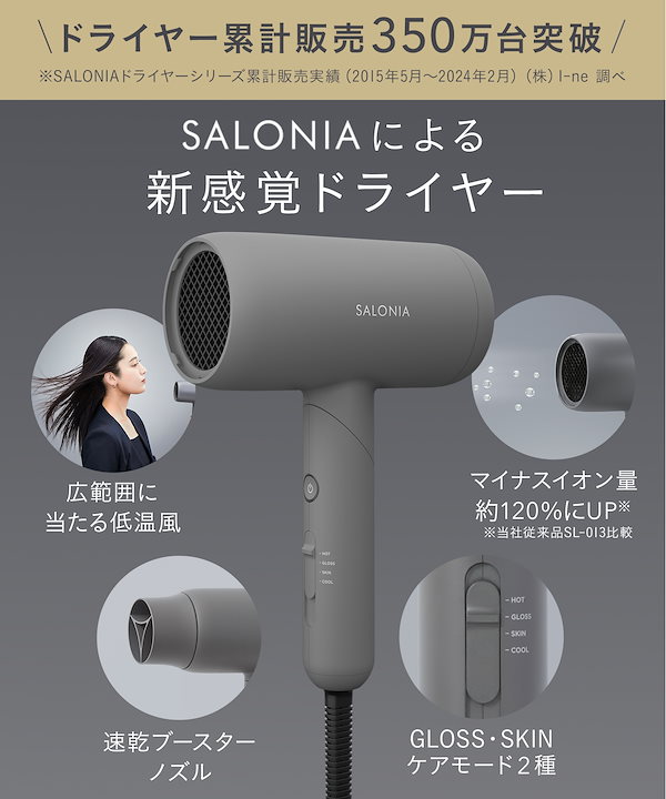 i-neサロニア スピーディーイオンドライヤー [グレー] （送料