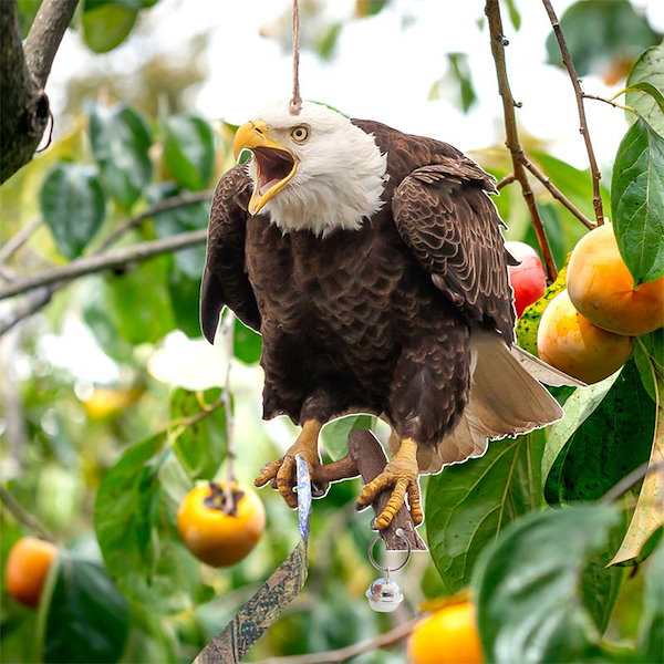 鳥よけグッズ 防鳥 とりよけ 対策 鷹 カラス 詳し 鳩 ベランダ 置物