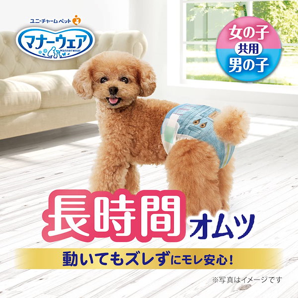 Qoo10] マナーウェア マナーウェア 犬用 おむつ 長時間オムツ