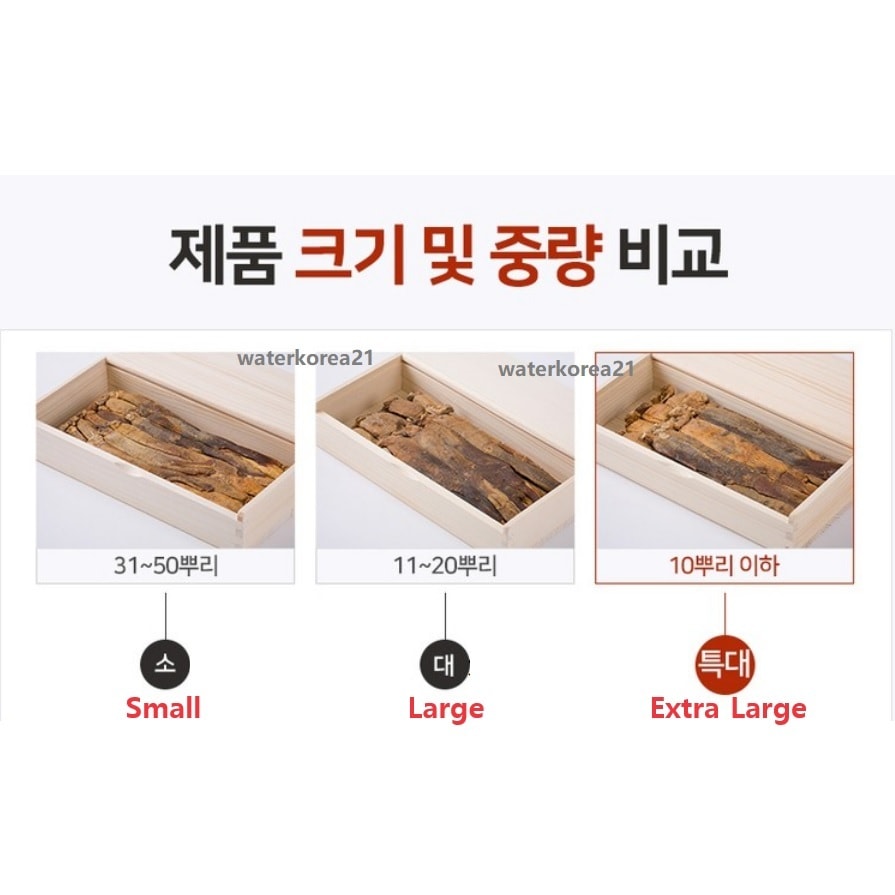 韓国産6年紅参300g 11-20本です/免疫力向上-コリアダイレクト 韓国産6年紅参300g 11-20本です/免疫力向上-コリアダイレクト