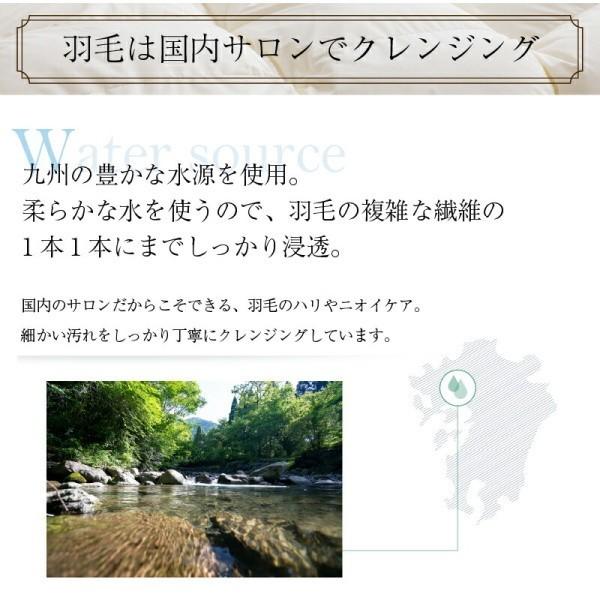 2枚合わせ 羽毛 掛け布団 640fp クイーン 肌掛け 合掛け ホック留め 国内サロン洗浄羽毛 掛布団 日本製 抗菌 防臭 防ダニ 来客用 布団 掛け布団単品