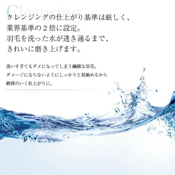 2枚合わせ 羽毛 掛け布団 640fp クイーン 肌掛け 合掛け ホック留め 国内サロン洗浄羽毛 掛布団 日本製 抗菌 防臭 防ダニ 来客用 布団 掛け布団単品