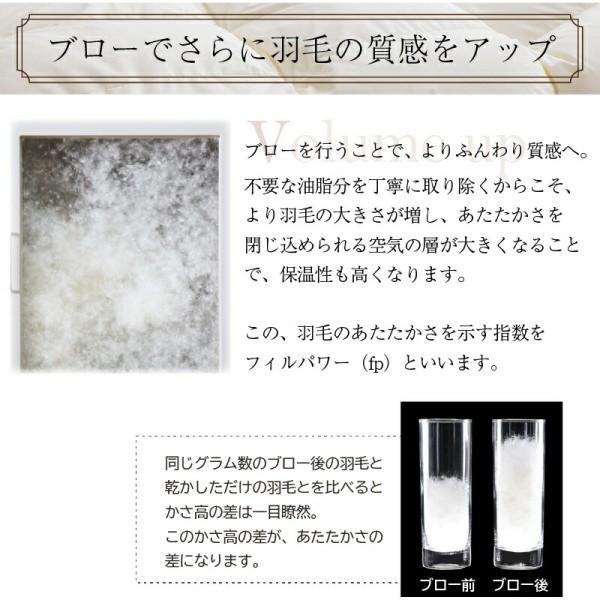 2枚合わせ 羽毛 掛け布団 640fp クイーン 肌掛け 合掛け ホック留め 国内サロン洗浄羽毛 掛布団 日本製 抗菌 防臭 防ダニ 来客用 布団 掛け布団単品