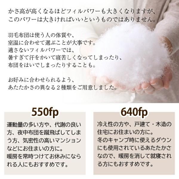 2枚合わせ 羽毛 掛け布団 640fp クイーン 肌掛け 合掛け ホック留め 国内サロン洗浄羽毛 掛布団 日本製 抗菌 防臭 防ダニ 来客用 布団 掛け布団単品