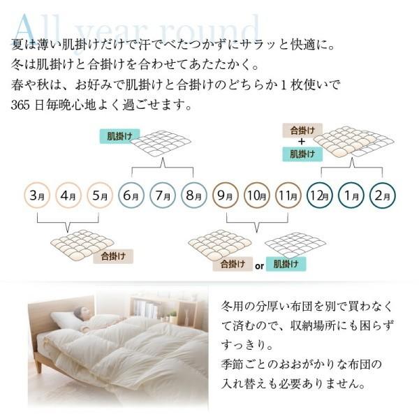 2枚合わせ 羽毛 掛け布団 640fp クイーン 肌掛け 合掛け ホック留め 国内サロン洗浄羽毛 掛布団 日本製 抗菌 防臭 防ダニ 来客用 布団 掛け布団単品