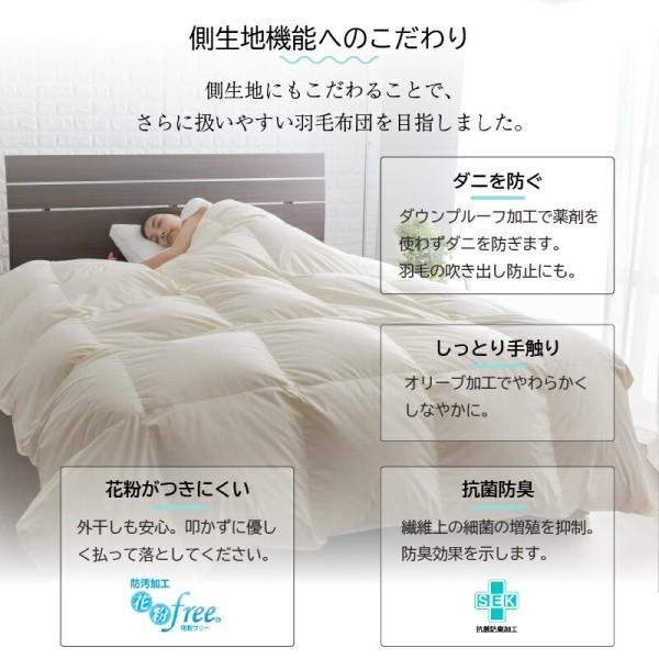 2枚合わせ 羽毛 掛け布団 640fp クイーン 肌掛け 合掛け ホック留め 国内サロン洗浄羽毛 掛布団 日本製 抗菌 防臭 防ダニ 来客用 布団 掛け布団単品