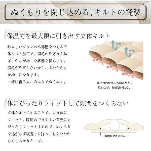 2枚合わせ 羽毛 掛け布団 640fp クイーン 肌掛け 合掛け ホック留め 国内サロン洗浄羽毛 掛布団 日本製 抗菌 防臭 防ダニ 来客用 布団 掛け布団単品