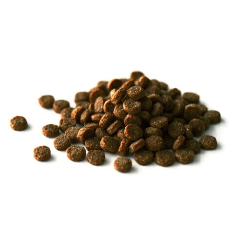 キア オラ ドッグフード ラム&レバー 9.5kg【犬想いオリジナル今治ハンドタオルセット】【タオルカラー ホワイト】【正規品】