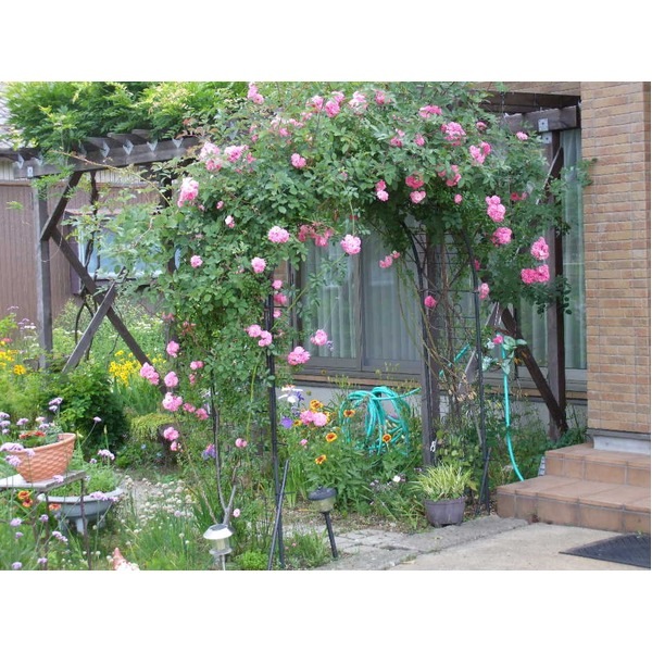 ※代金引換不可 フラワーアーチ エクセレント 170G 幅170cm No.212 220sz フラワーアーチ エクセレント 170G 212 フラワーアーチ \u2013 園芸逸品館