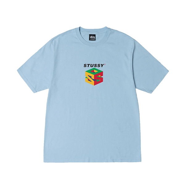 STÜSSY STUSSY S64 PIGMENT DYED T-SHIRT - Tシャツ/カットソー(半袖