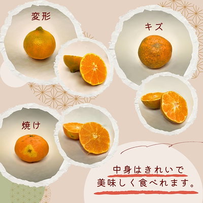 本日もきたーーー‼️数量限定‼️ビックパンツ甘平たちゃん約5k6980円40 Qoo10] 愛媛県産 訳あり 甘平 5kg 説明文を : 食品