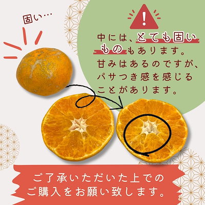 本日もきたーーー‼️数量限定‼️ビックパンツ甘平たちゃん約5k6980円40 セール】【ZOZO限定】ピンタックワイドストレートパンツ（その他