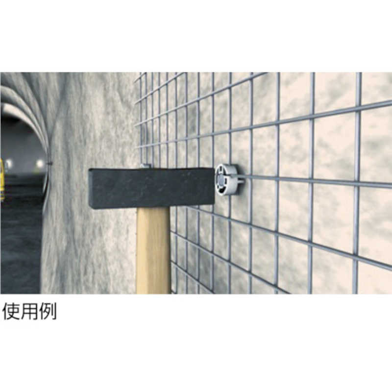 フィッシャージャパン　フィッシャー ネイルアンカー FNA2 6X30/120 50本入り　44120