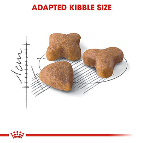 ロイヤルカナン センシブル 猫用 2kg 2個セット 楽天市場】【最大1万円ｵﾌｸｰﾎﾟﾝ※要LINE条件達成&最大P47倍※要
